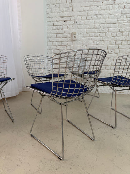 5 chaises Knoll Bertoia