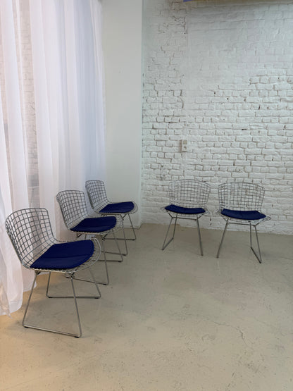 5 chaises Knoll Bertoia