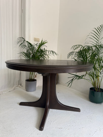 Table scandinave en bois
