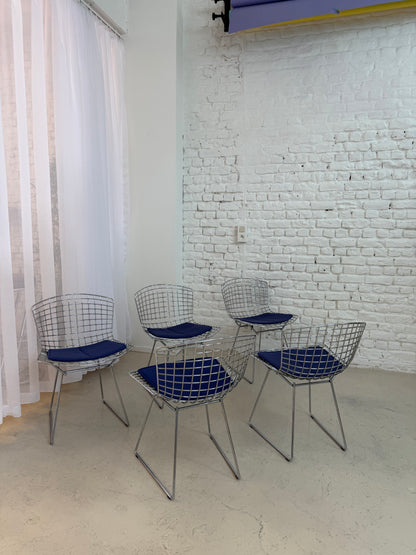 5 chaises Knoll Bertoia